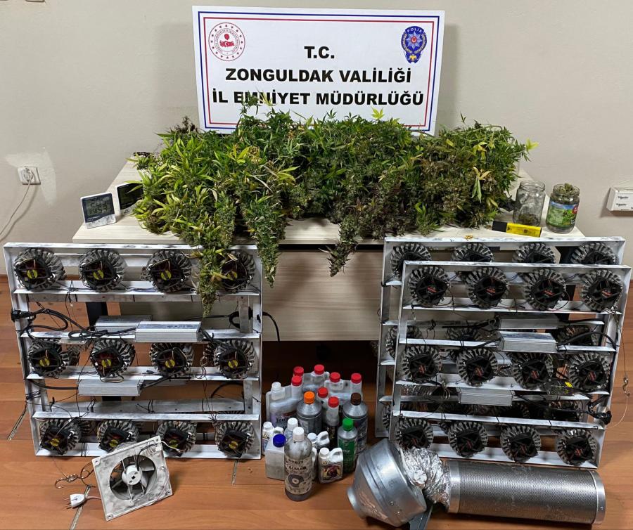 İZİNSİZ KENEVİR EKİMİ.