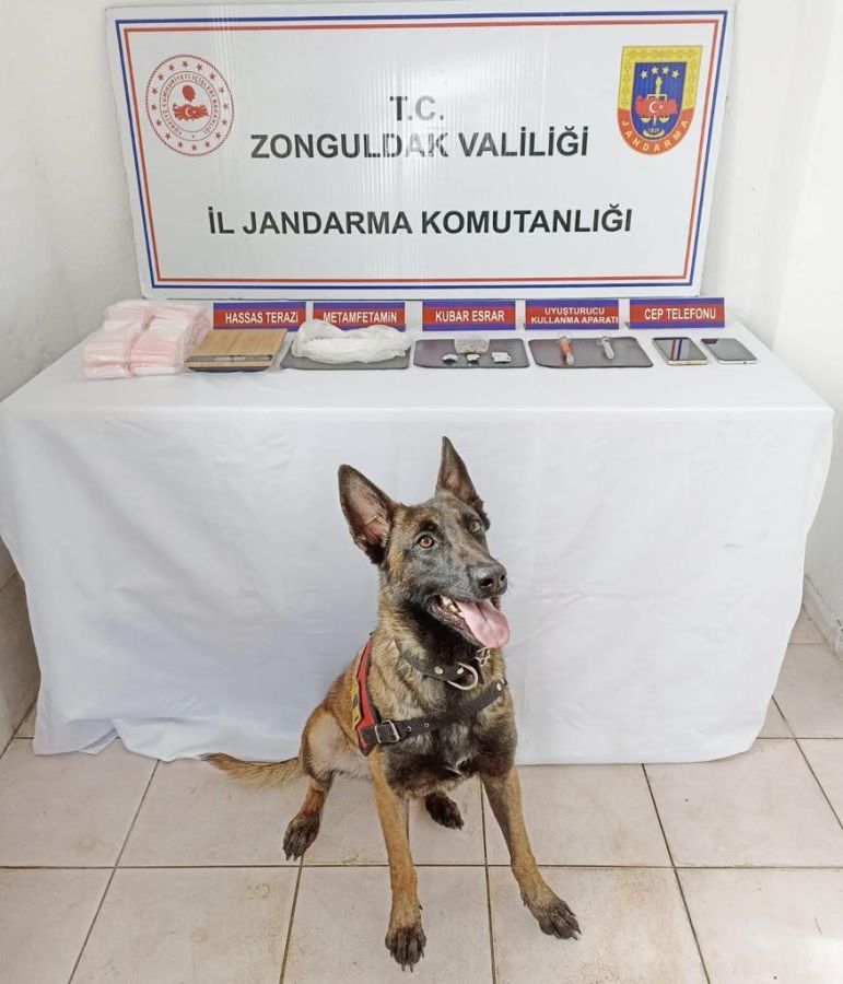 İl Genelinde geniş çaplı uyuşturucu operasyonu