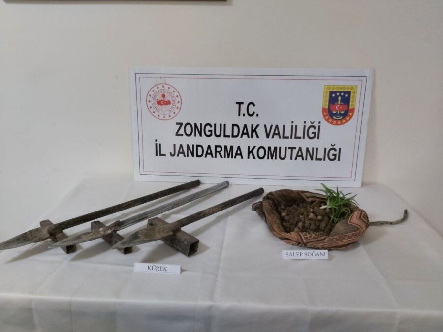 Kaçak Salep Soğanı toplayanlara suçüstü.