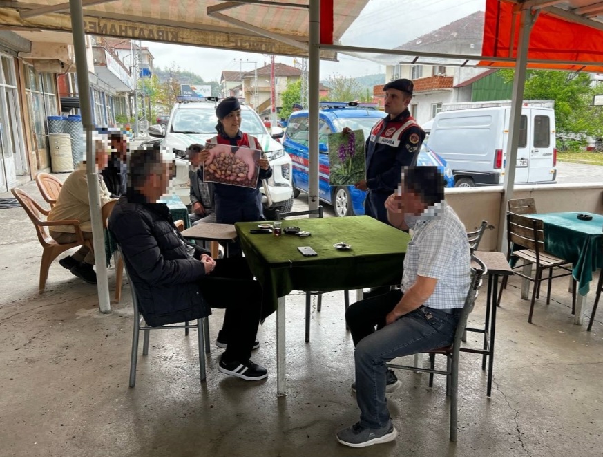 Yasak Salep Soğanı toplama bilgilerdirmesi.