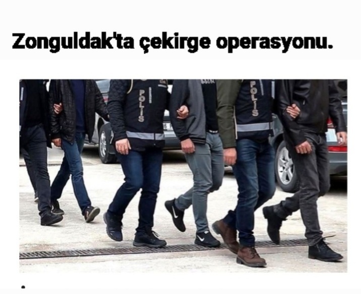 Zonguldak’ta çekirge operasyonu.
