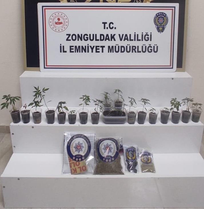 Zehir tacirlerine 11 tutuklama.