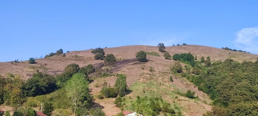 ANIZ YANGINI BÜYÜMEDEN SÖNDÜRÜLDÜ