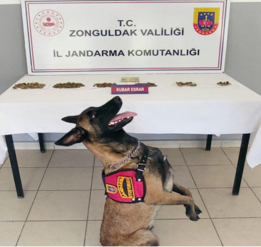 Devrek ilçemizde uyuşturucu