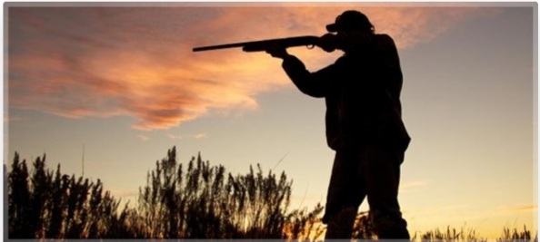 Ülkemizde 2023-2024 Av Dönemi 26 Ağustos 2023 tarihinde başlayacaktır.