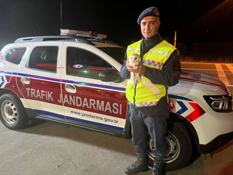 Yaralı Baykuşun imdadına Jandarma yetişti.